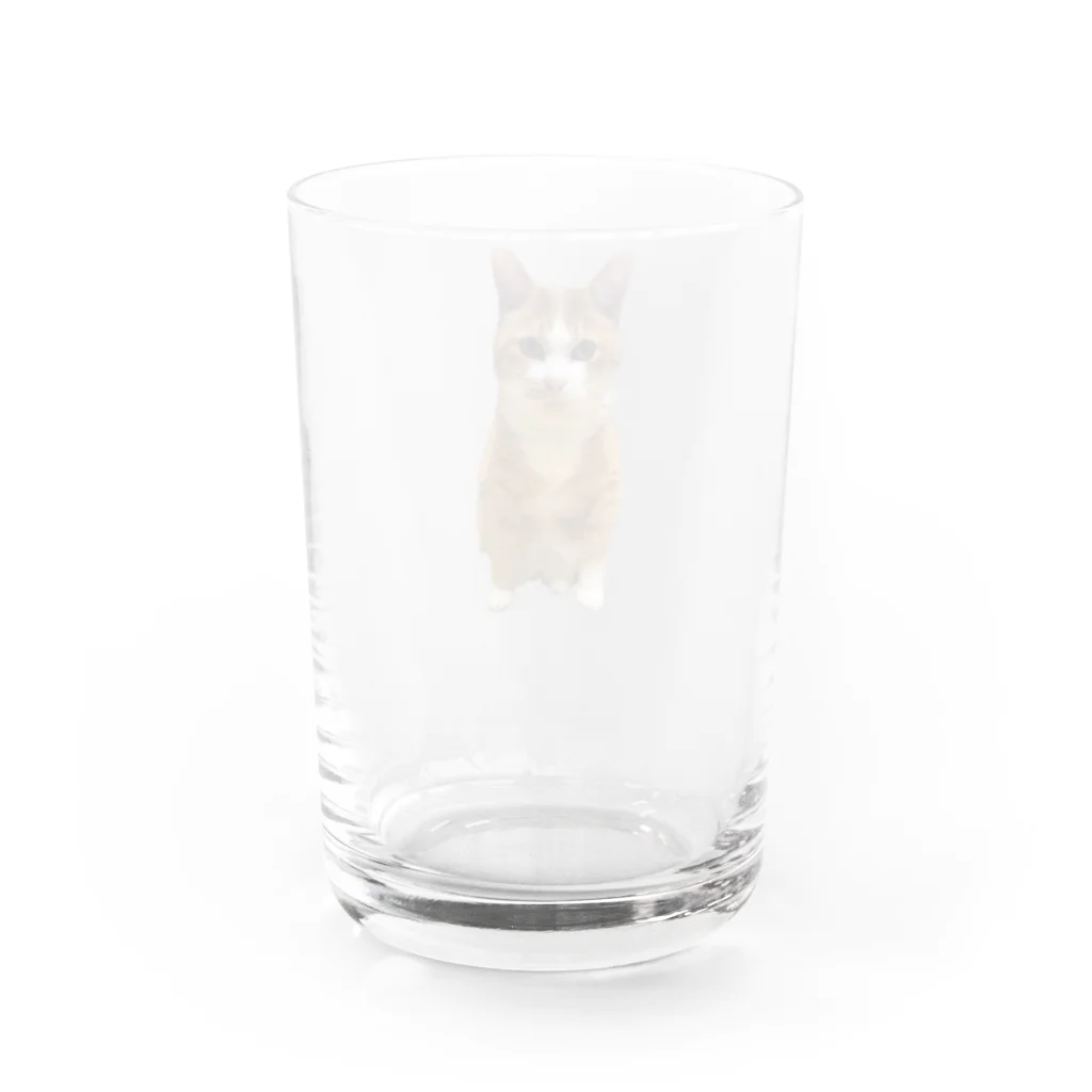 傍若無人のちゃたろうくんのすわりかたがへんなちゃたろうくん Water Glass :back