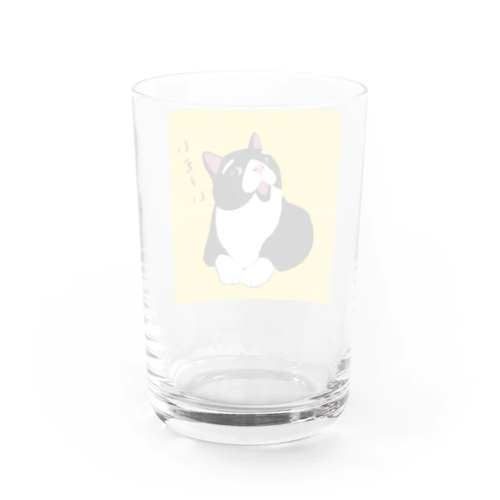 穏やかな猫の穏やかな猫 Water Glass :back