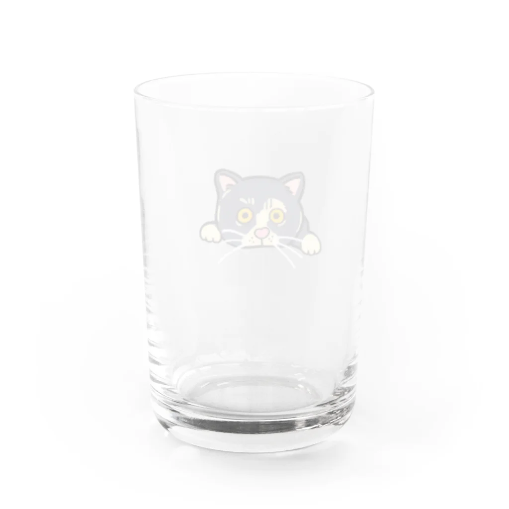 WORLD1グッズショップののぞきねこちゃん Water Glass :back