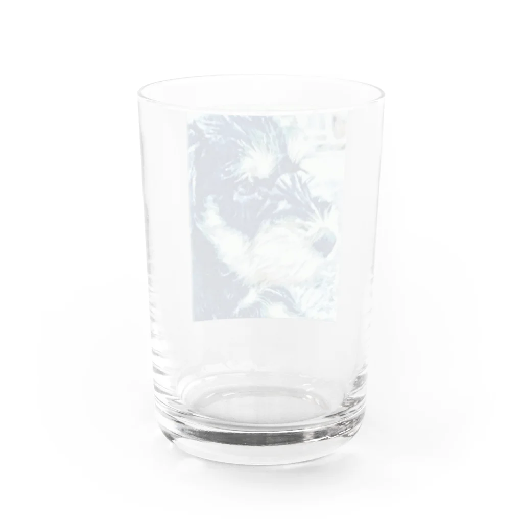 aviorのミニシュナ　E Water Glass :back