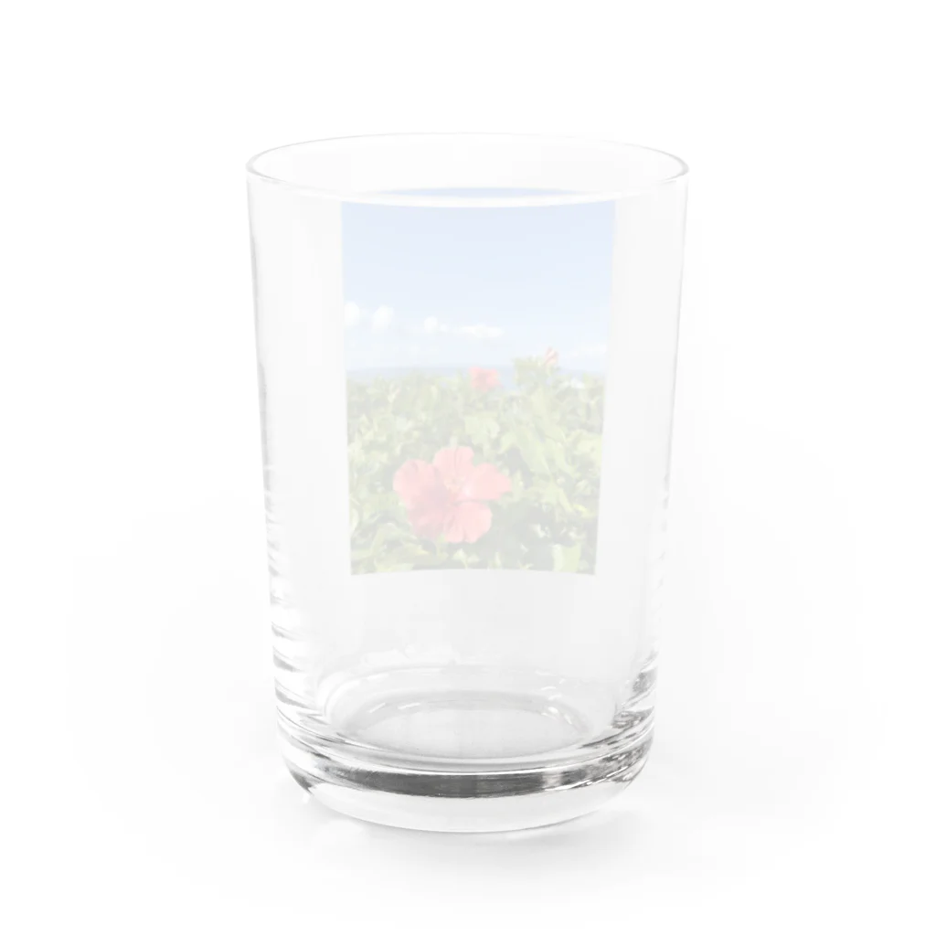 Ripples沖縄レジンアートの沖縄の海とハイビスカス Water Glass :back