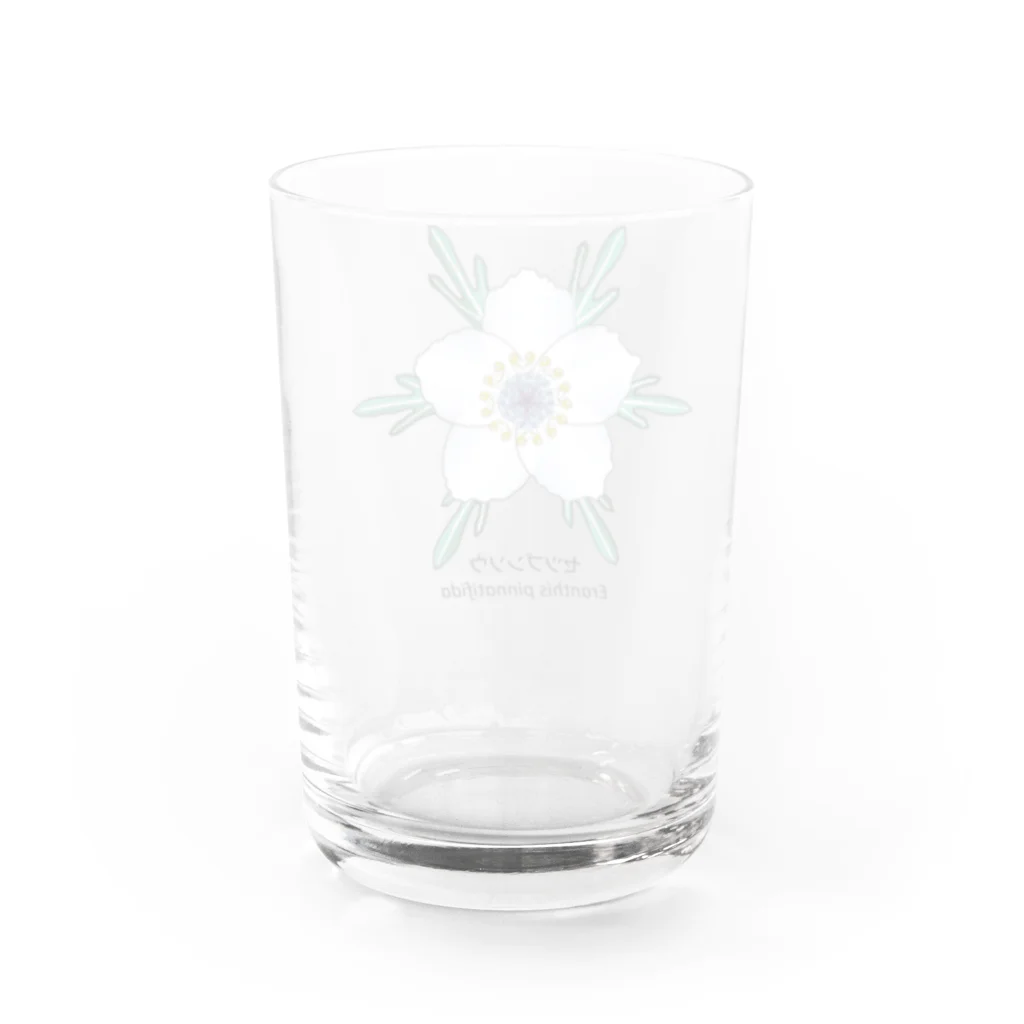 アデニウム(花・植物)のセツブンソウ(節分草) Water Glass :back