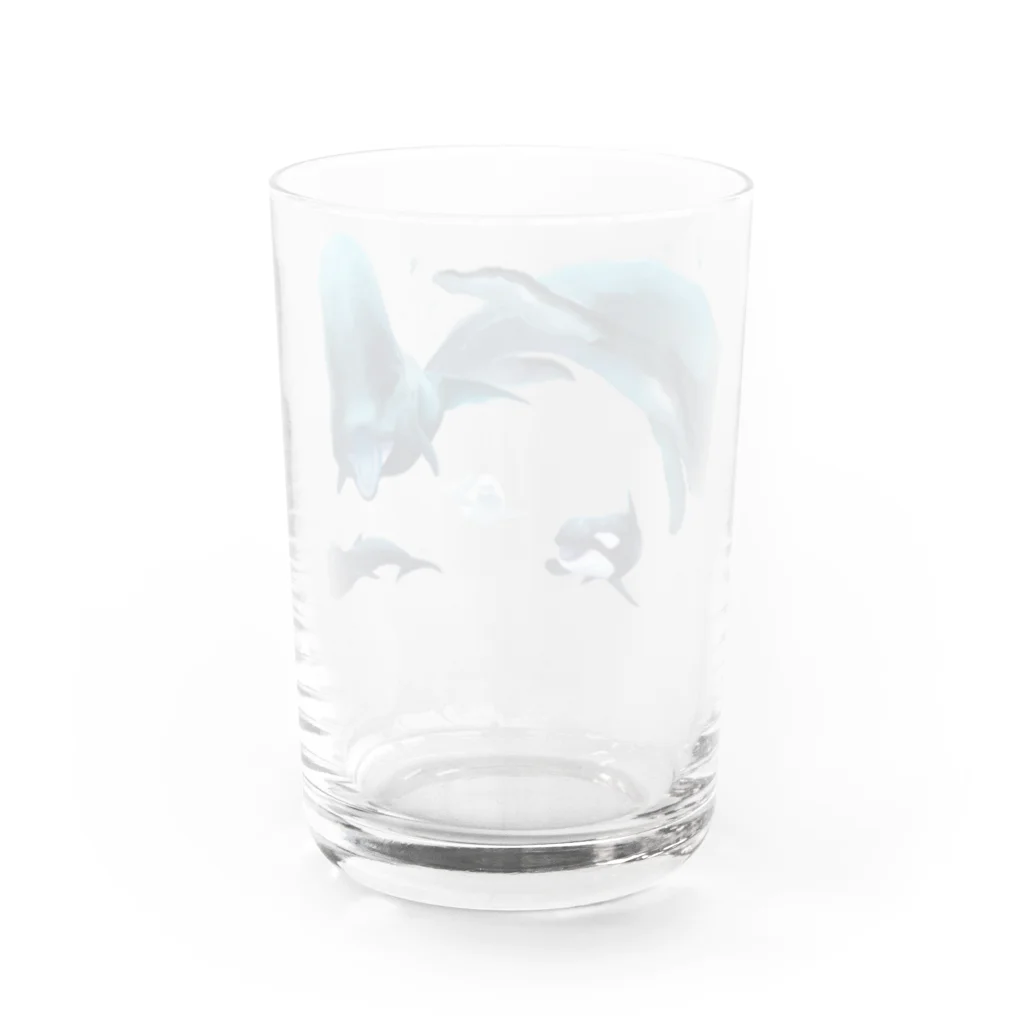 Shachi_のクジラ Water Glass :back