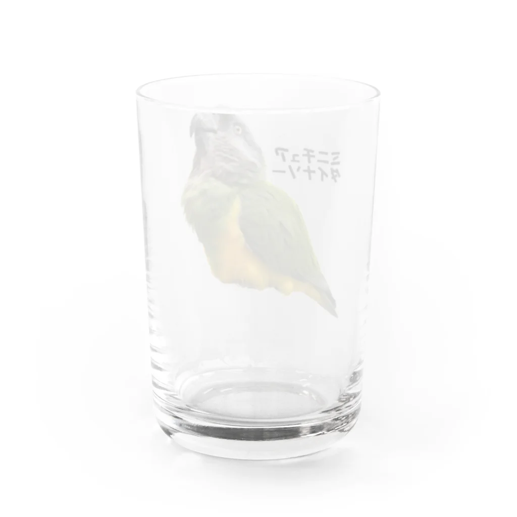 nakakulaaniのミニチュアダイナソー（日本語版）２ Water Glass :back