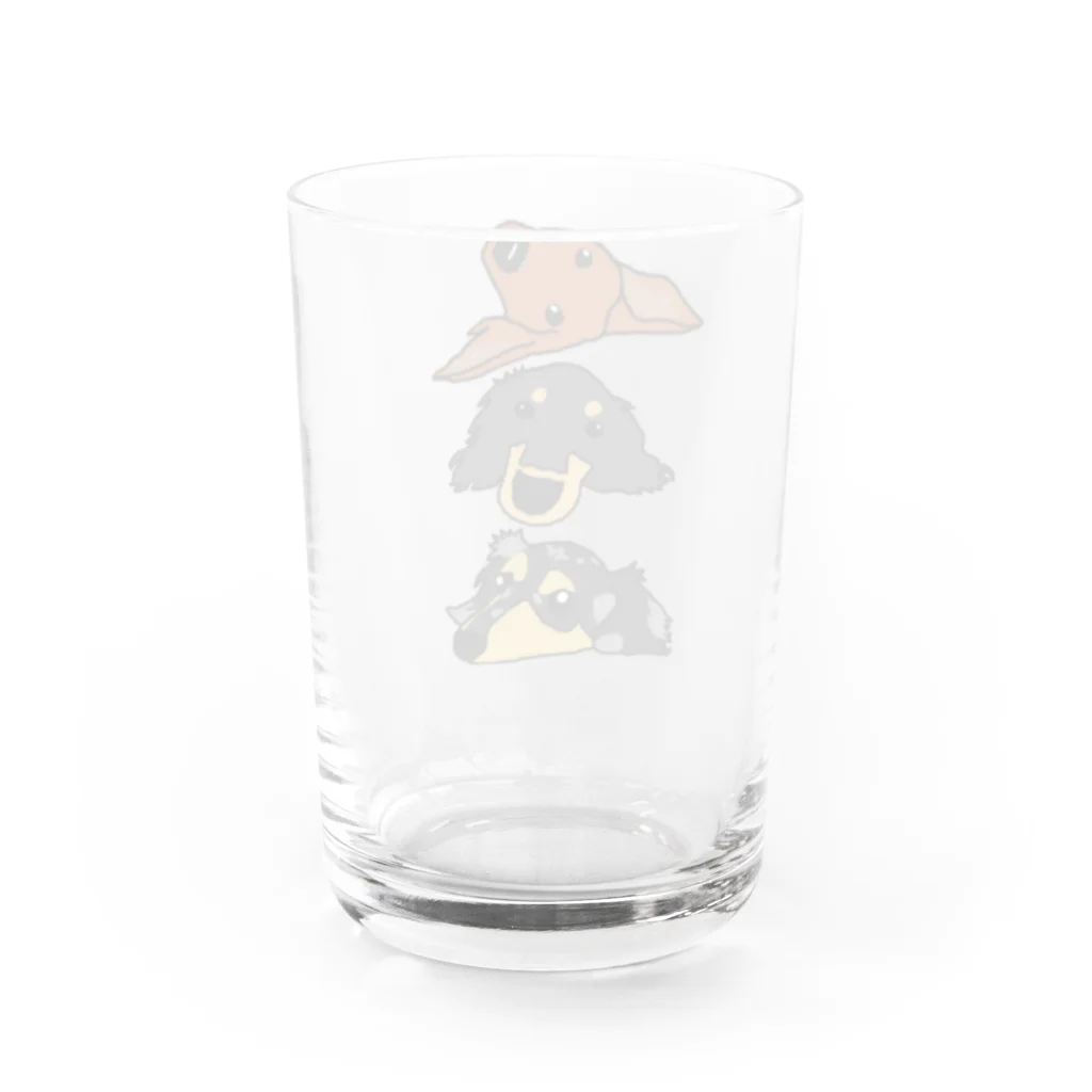 ダックス雑貨ひなたの3Dachs Water Glass :back