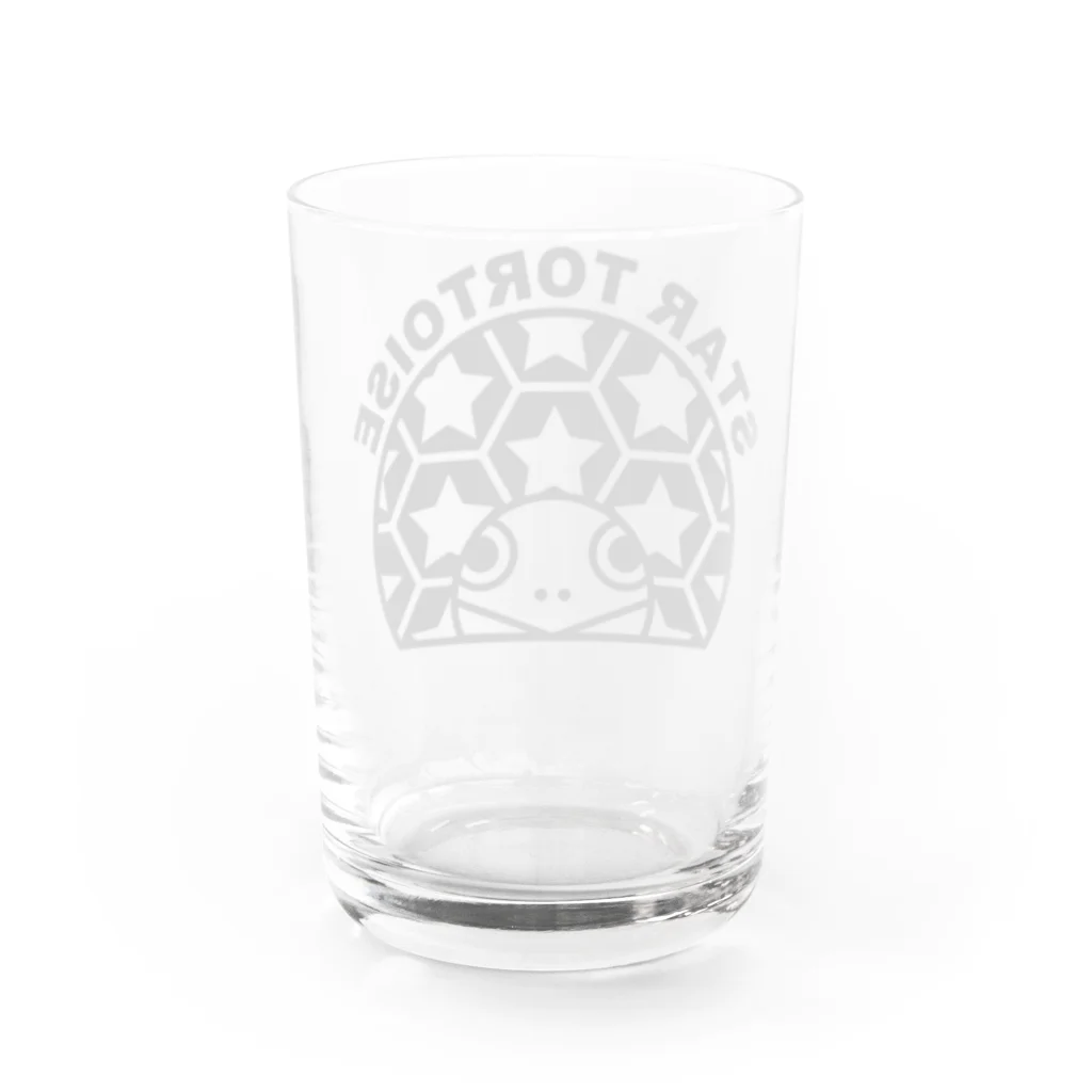 STAR TORTOISEのホシガメ Water Glass :back