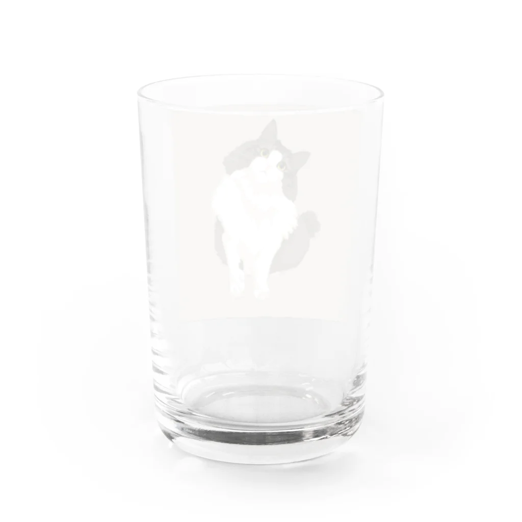 猫のイラスト屋さんのrin Water Glass :back