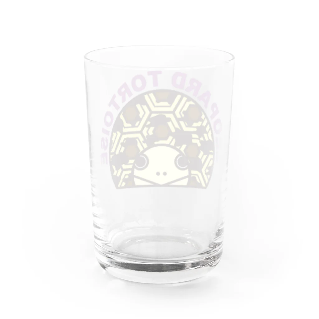 STAR TORTOISEのヒョウモンリクガメ　カラー Water Glass :back