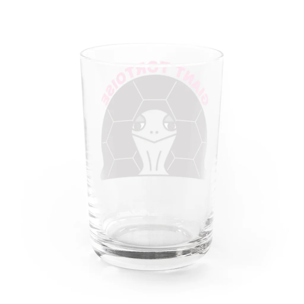 STAR TORTOISEのゾウガメ　カラー Water Glass :back