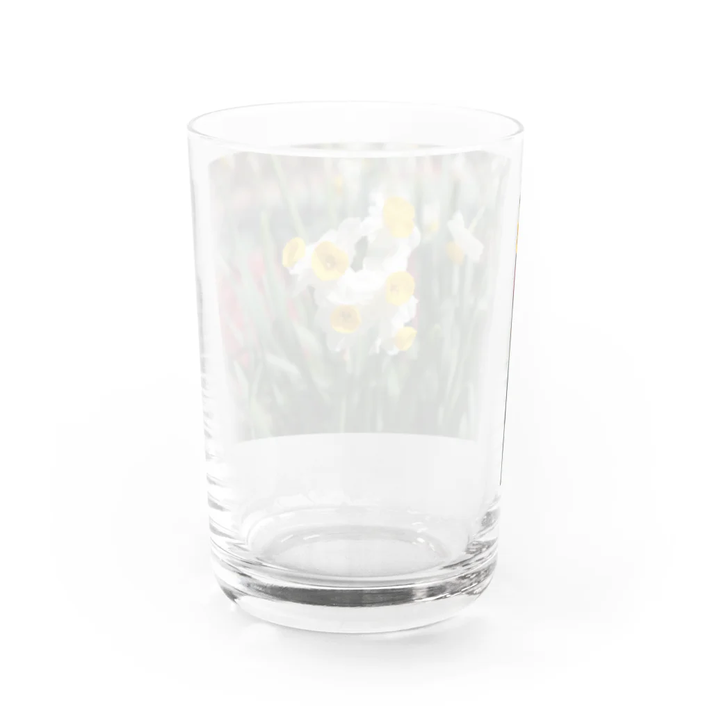 s__y_104のすいせん Water Glass :back