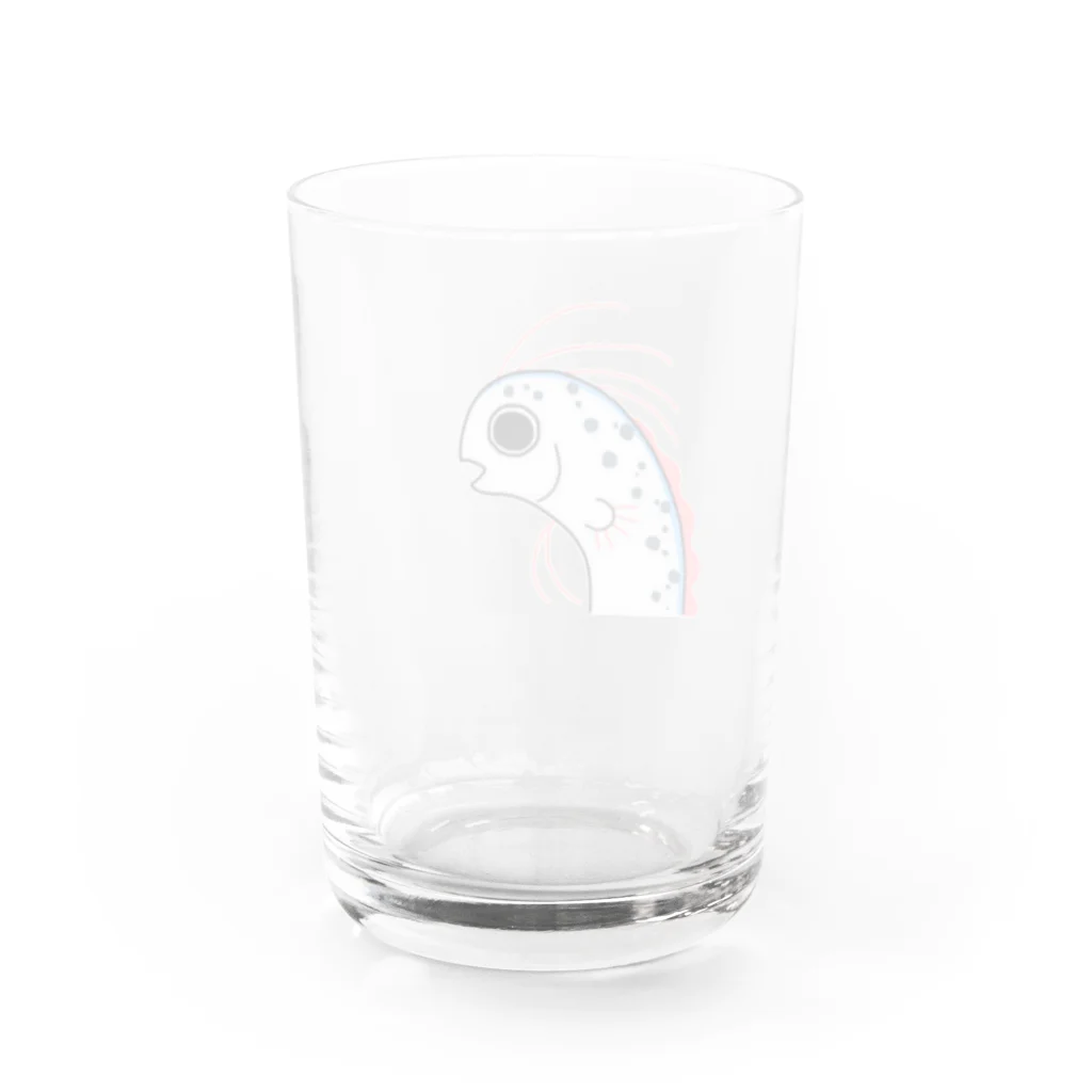 ほうおうやのリュウグウノチンアナゴ Water Glass :back