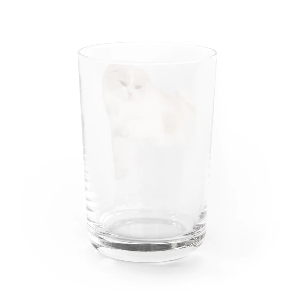 ふうまくんのお店のおねむなふうまくん Water Glass :back