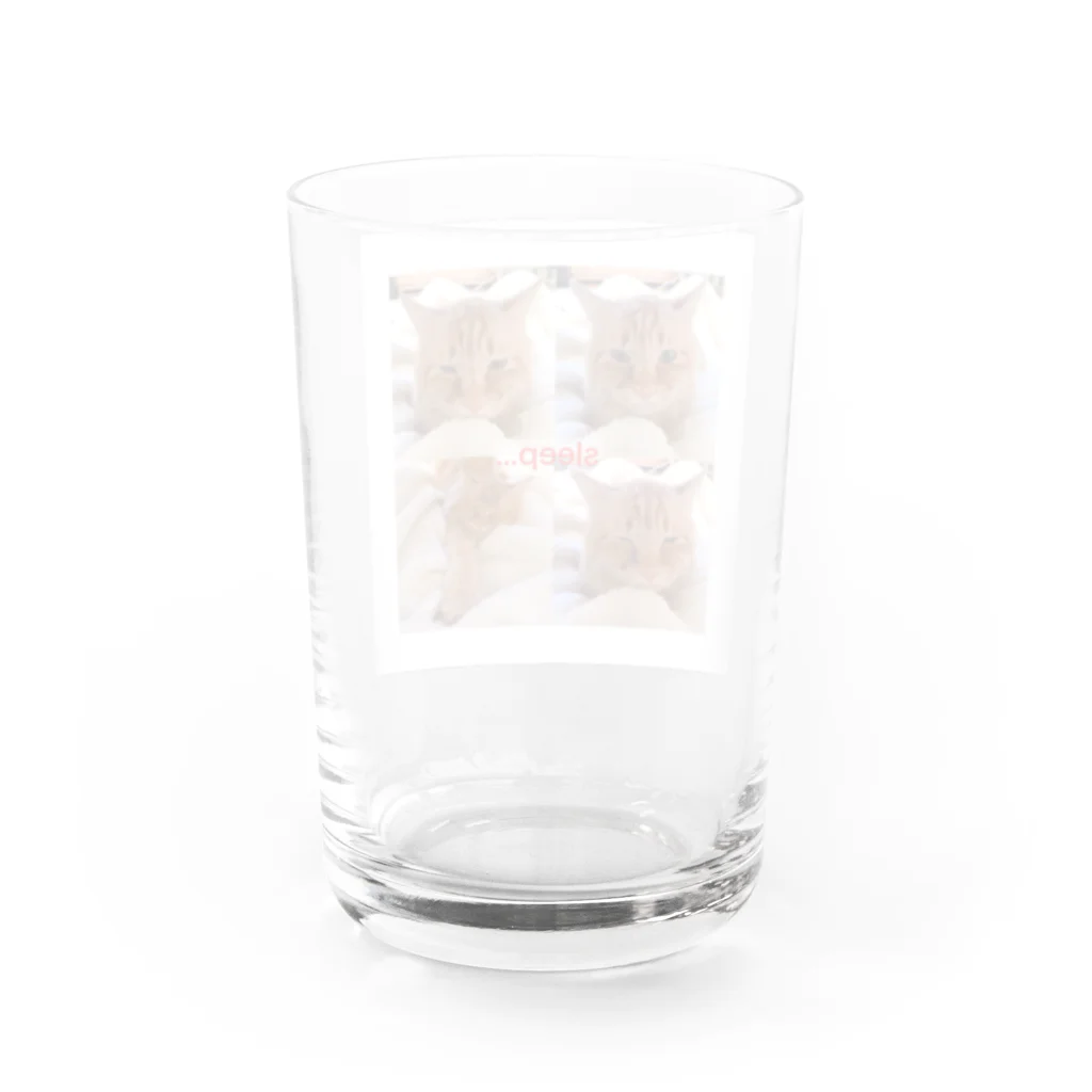 Tumbler3のTumbler3のおネムなホタテ Water Glass :back