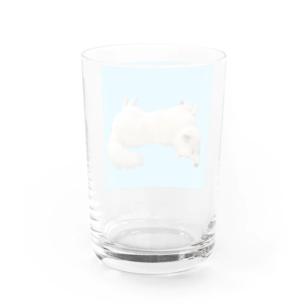 わんライフガーデンのハリーとおやすみ💤 Water Glass :back