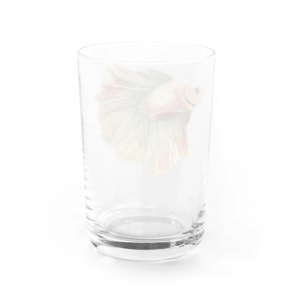 momoco3510のゆきちゃん Water Glass :back