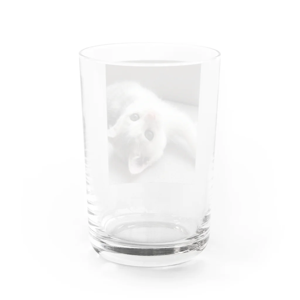 RikuMiku(りくみく）のりくみく（みくちゃん） グラス反対面