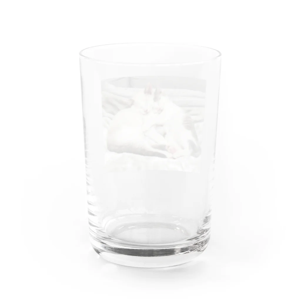 RikuMiku(りくみく）のりくみく（なかよし） Water Glass :back