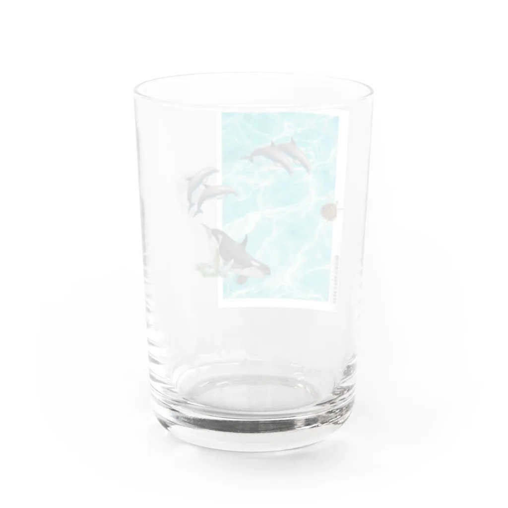 𝙈𝙊𝙈𝙊'𝙨 𝙎𝙝𝙤𝙥の海の仲間たち Water Glass :back