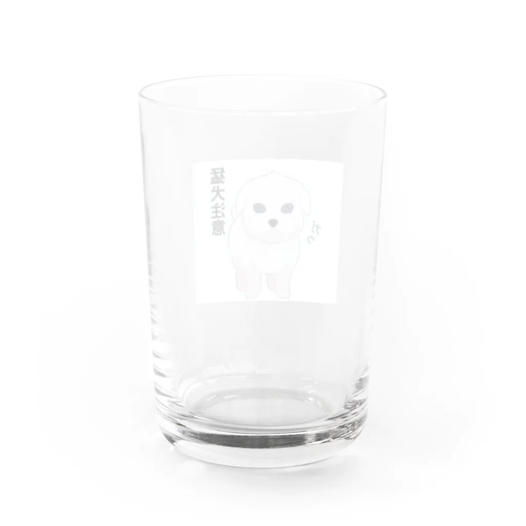 猛犬のマルプーくんの猛犬なつもりのマルプーの社長さん Water Glass :back