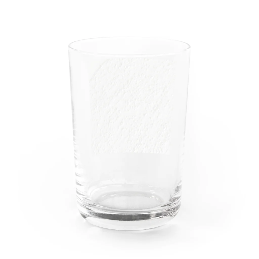 eclat-misaのtexture series Water Glass :back