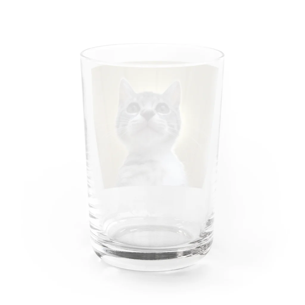 Vegeta_cat22の保護猫ベジータ　神 グラス反対面