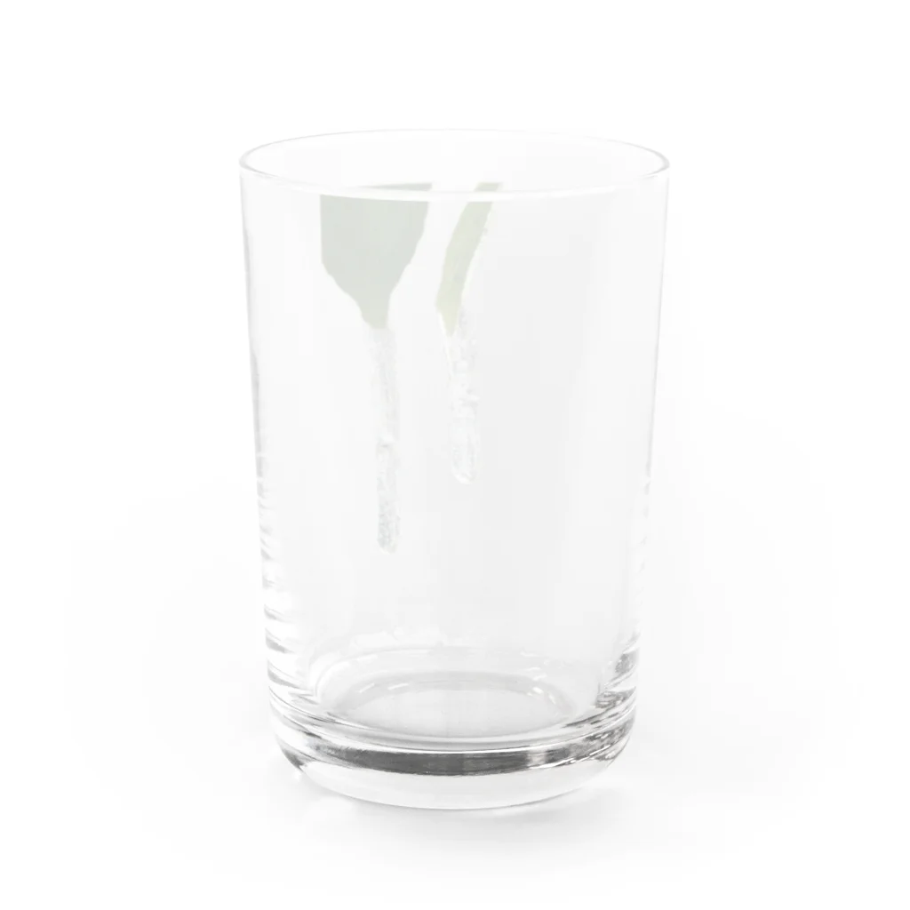 echirのTSURARA Water Glass :back