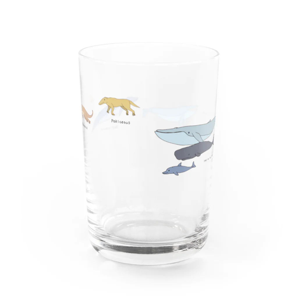 umisachi-embのおおむかしのクジラグラス Water Glass :back