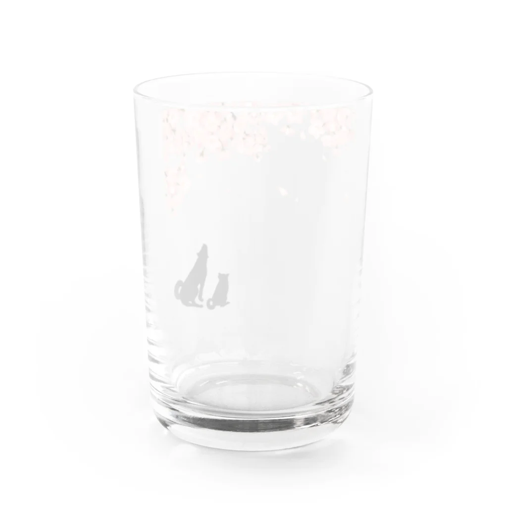 屋根裏部屋の桜とわんこ Water Glass :back