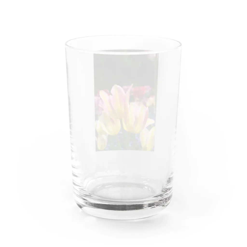 Gallery Crystalのhappy  Water Glass :back
