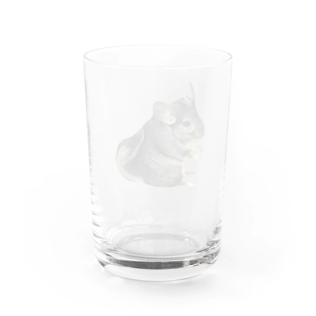 いきもの大好き！ほほえみフレンズのチンチラが好きな人の為のアイテム Water Glass :back