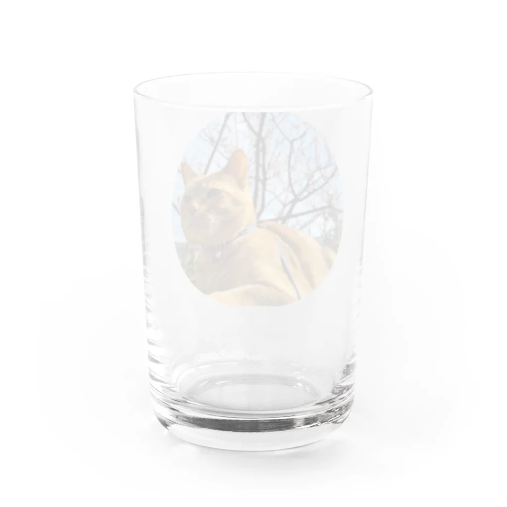 うちの末っ子画伯の猫ですかね Water Glass :back