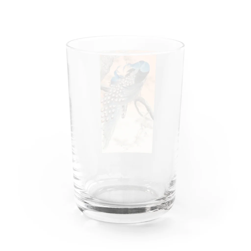 MUGEN ARTの小原古邨　二羽の孔雀　Ohara Koson / Two peacocks on tree branch Water Glass :back