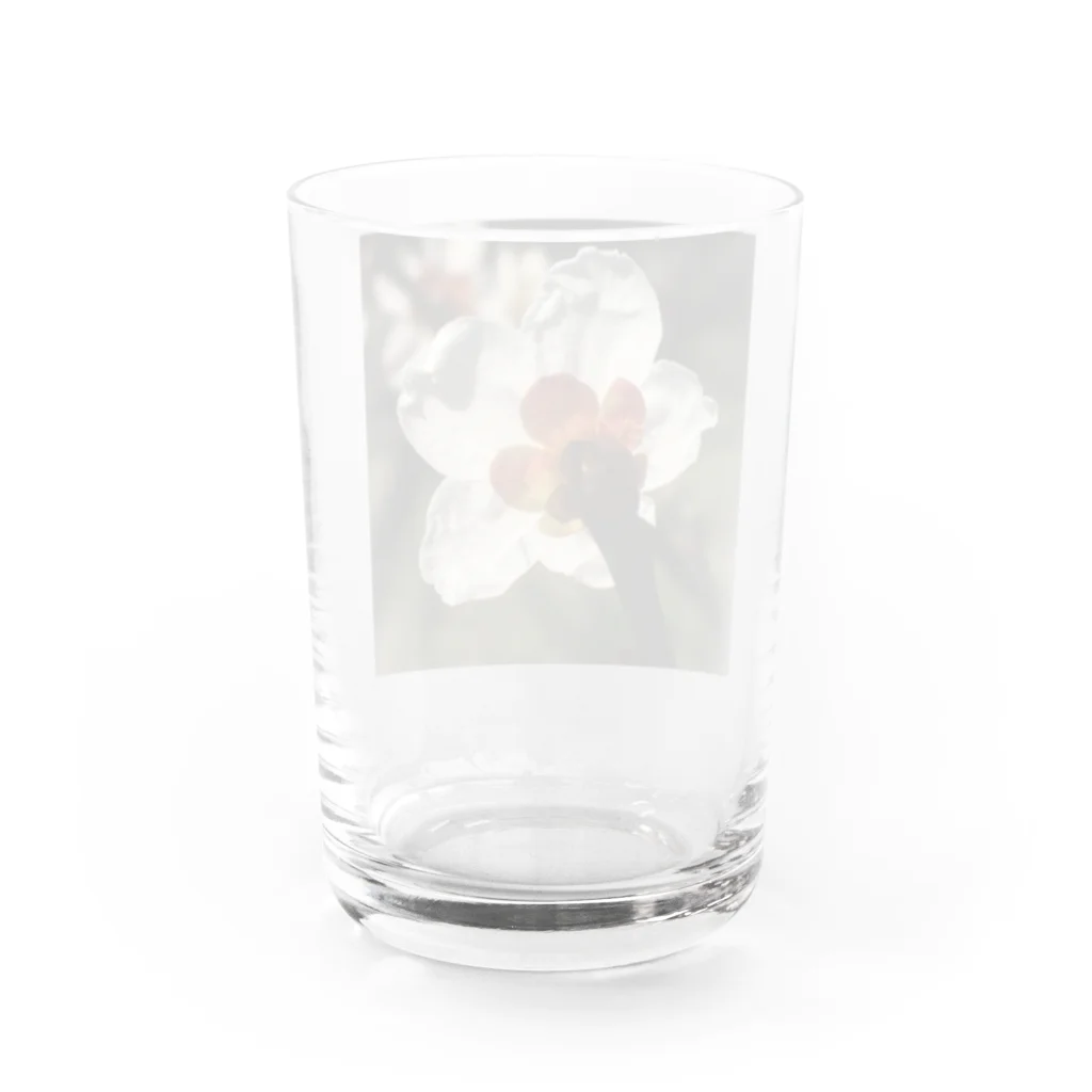 hukuchiyan7611の梅 Water Glass :back