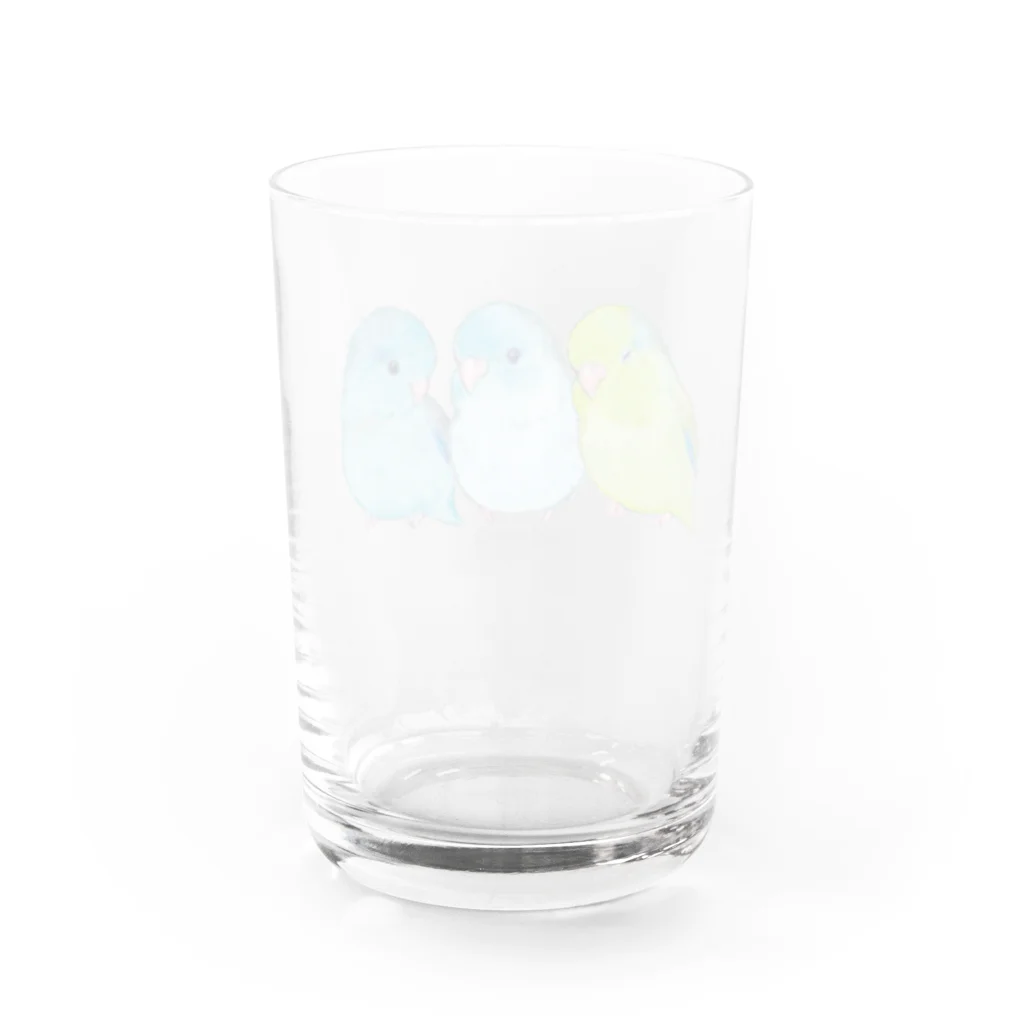 aoamo shopのaoamoマメルリハ Water Glass :back