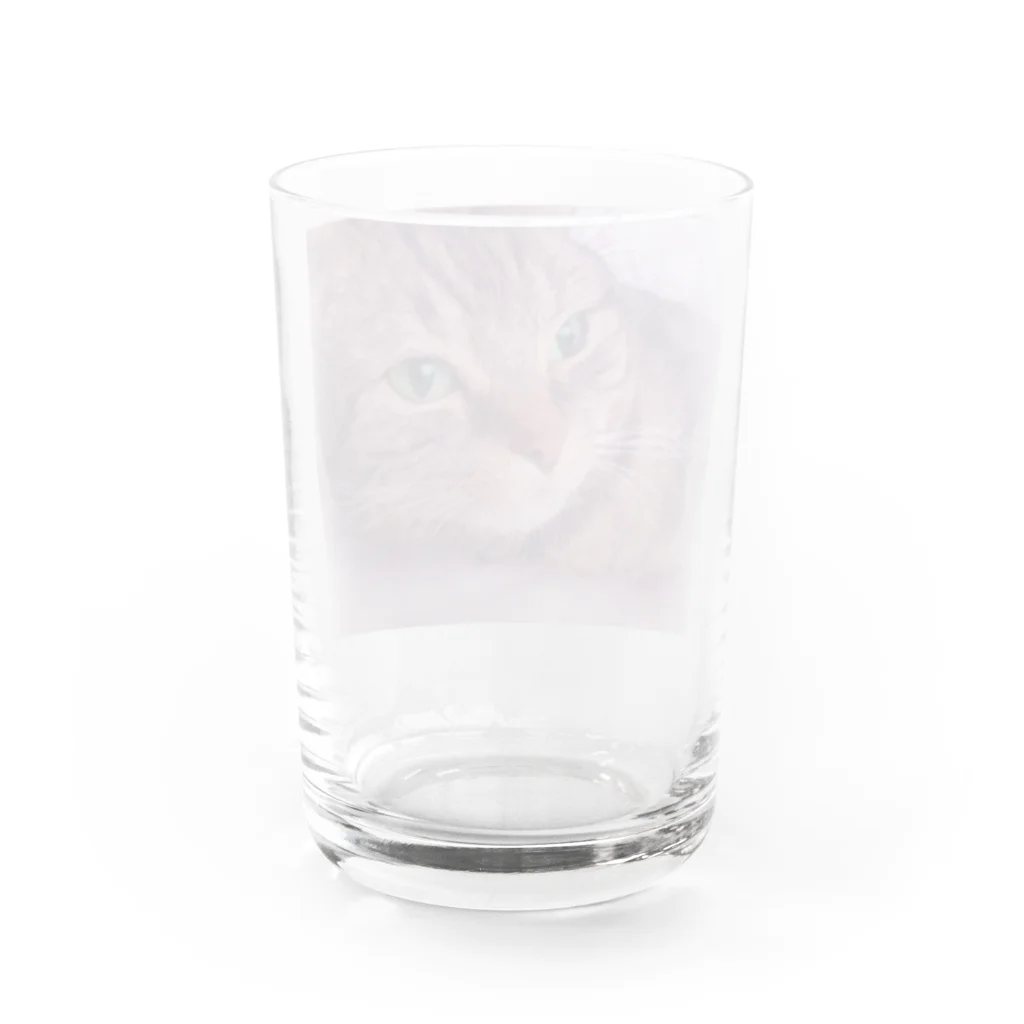 MUYU /  Animal ArtistのMemories with my pet １ Water Glass :back