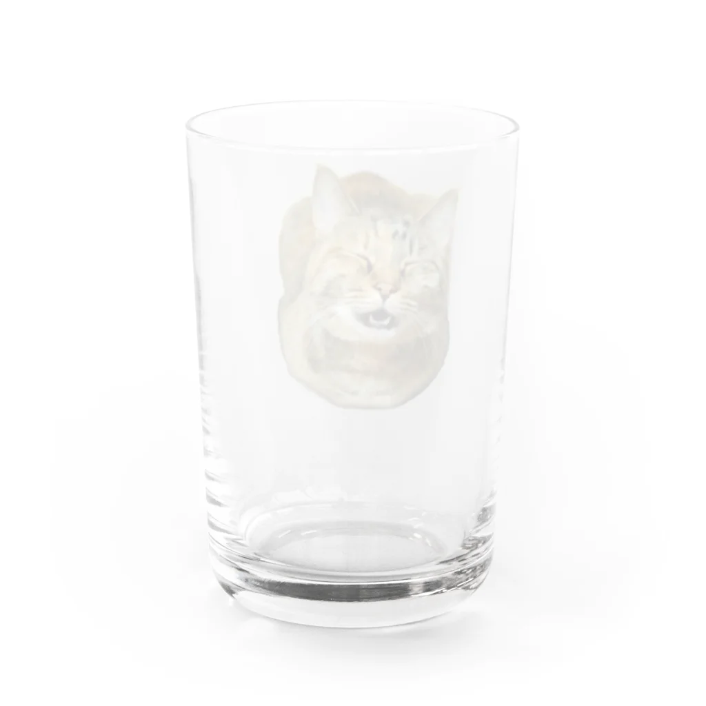 桃くるみSHOPのアハハにゃん(おててないない) Water Glass :back