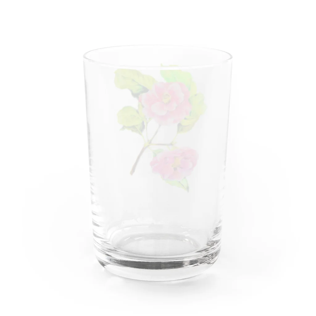 Fumie-CannesのCamélia japonica  Water Glass :back