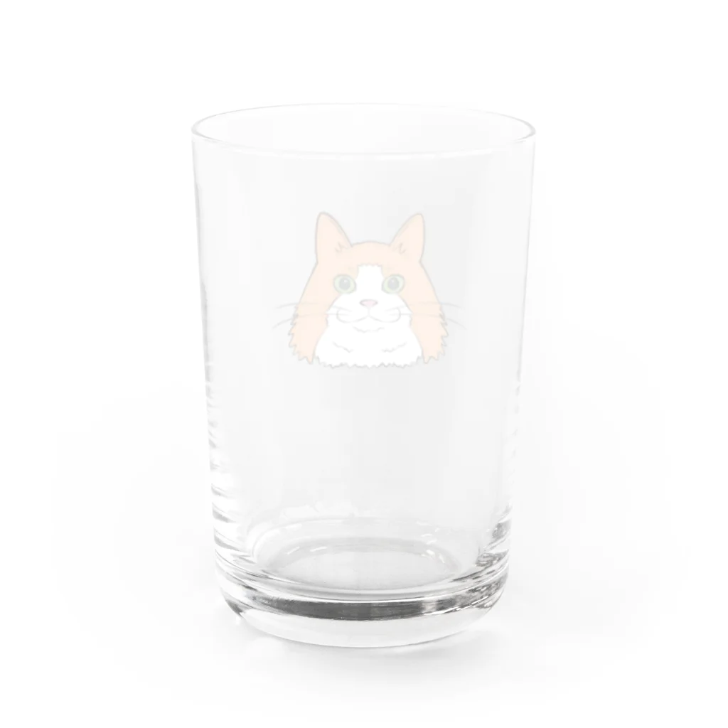 もふもふはちわれずの髭袋デカ美 Water Glass :back