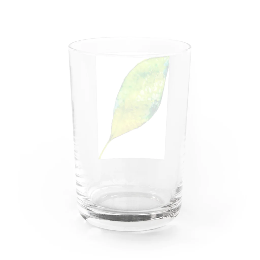 暖暖あたたかの葉っぱ Water Glass :back