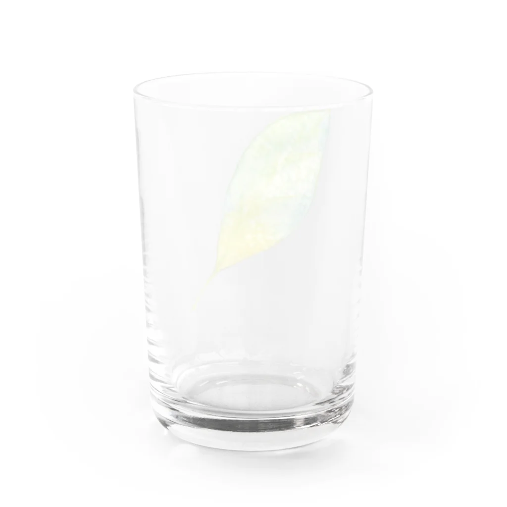 暖暖あたたかの葉っぱ Water Glass :back