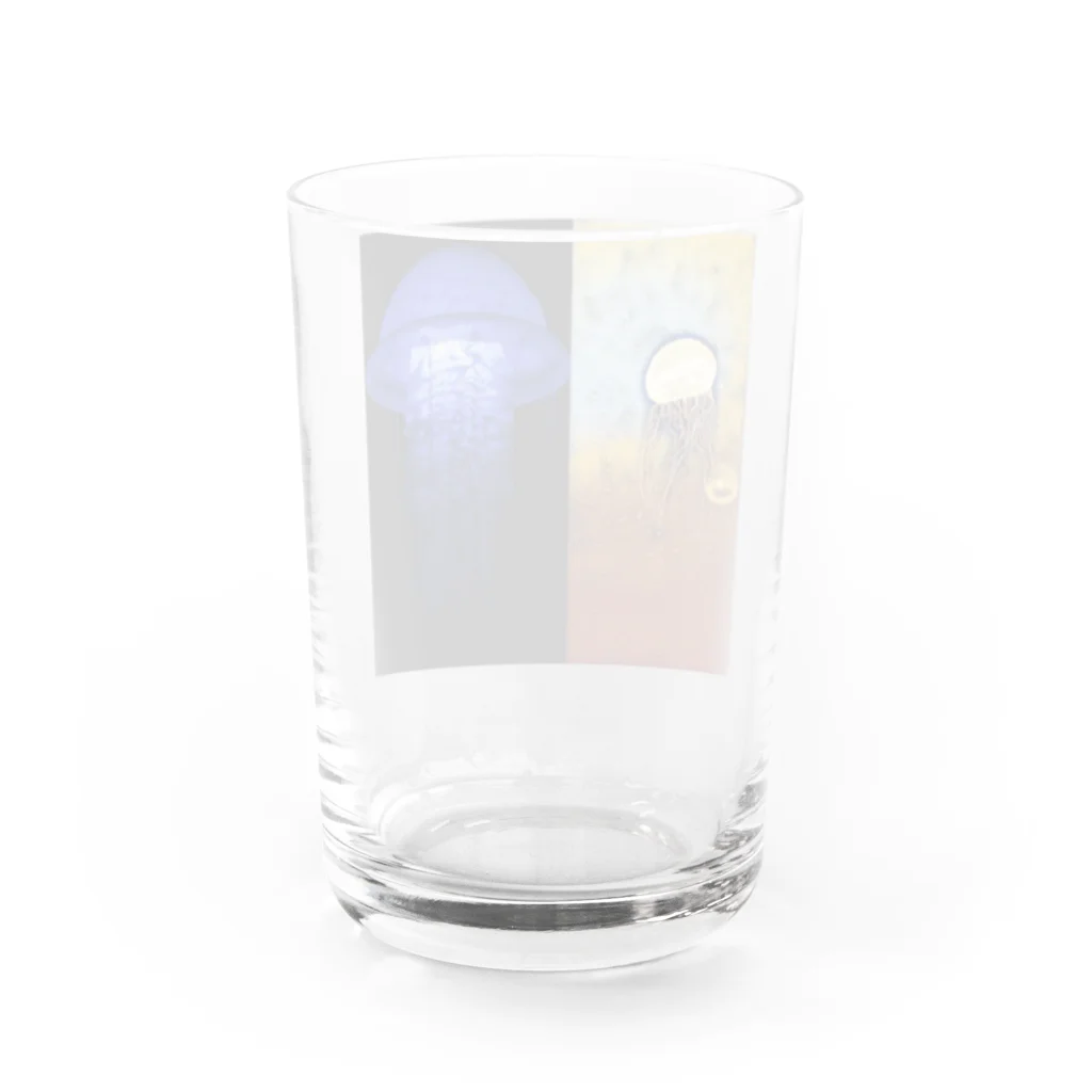 jpsat313のザクラゲ Water Glass :back