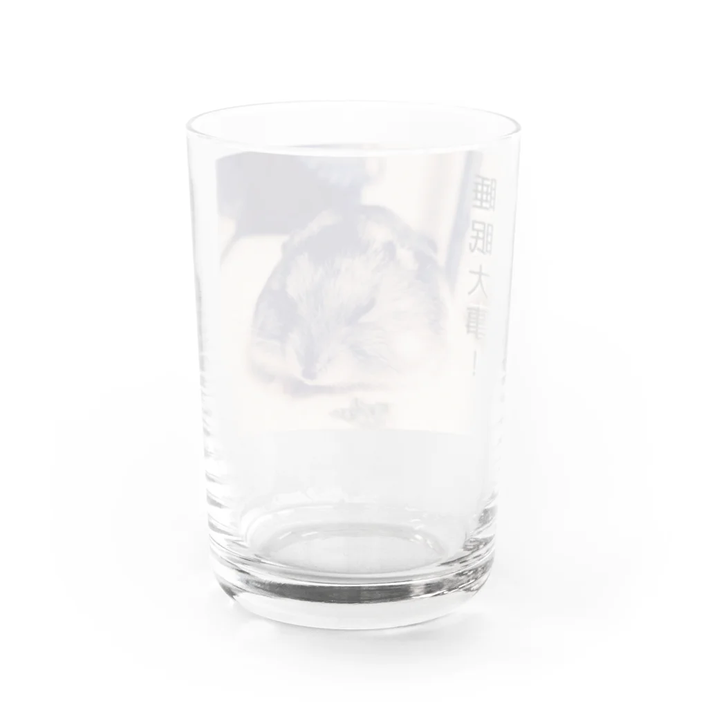 Kawauso-sanの睡眠大事！ Water Glass :back