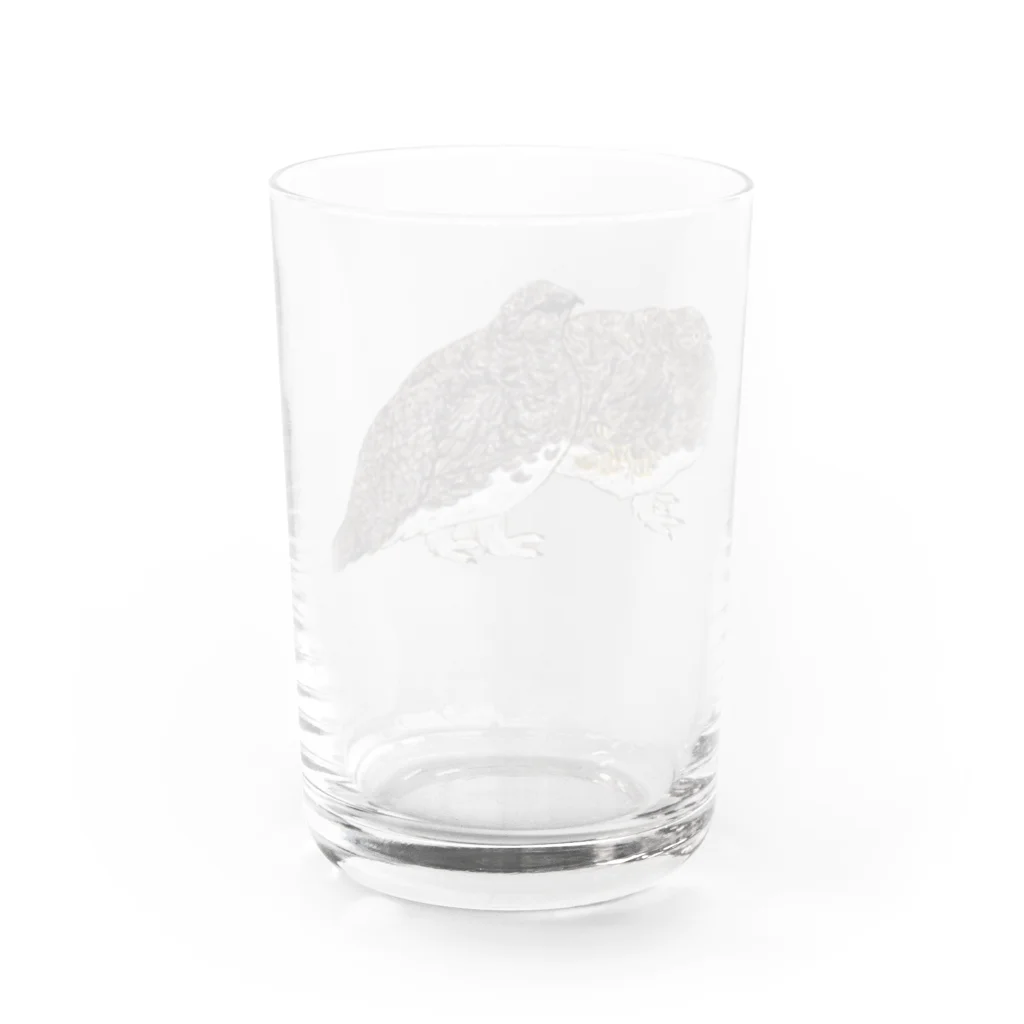 ⚡️カミナリ運送⚡️の秋羽夫婦🍂 Water Glass :back