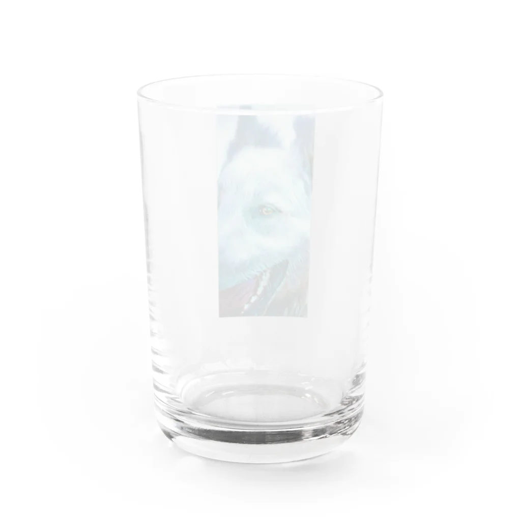 jpsat313のホアイトシェパードドアップ Water Glass :back