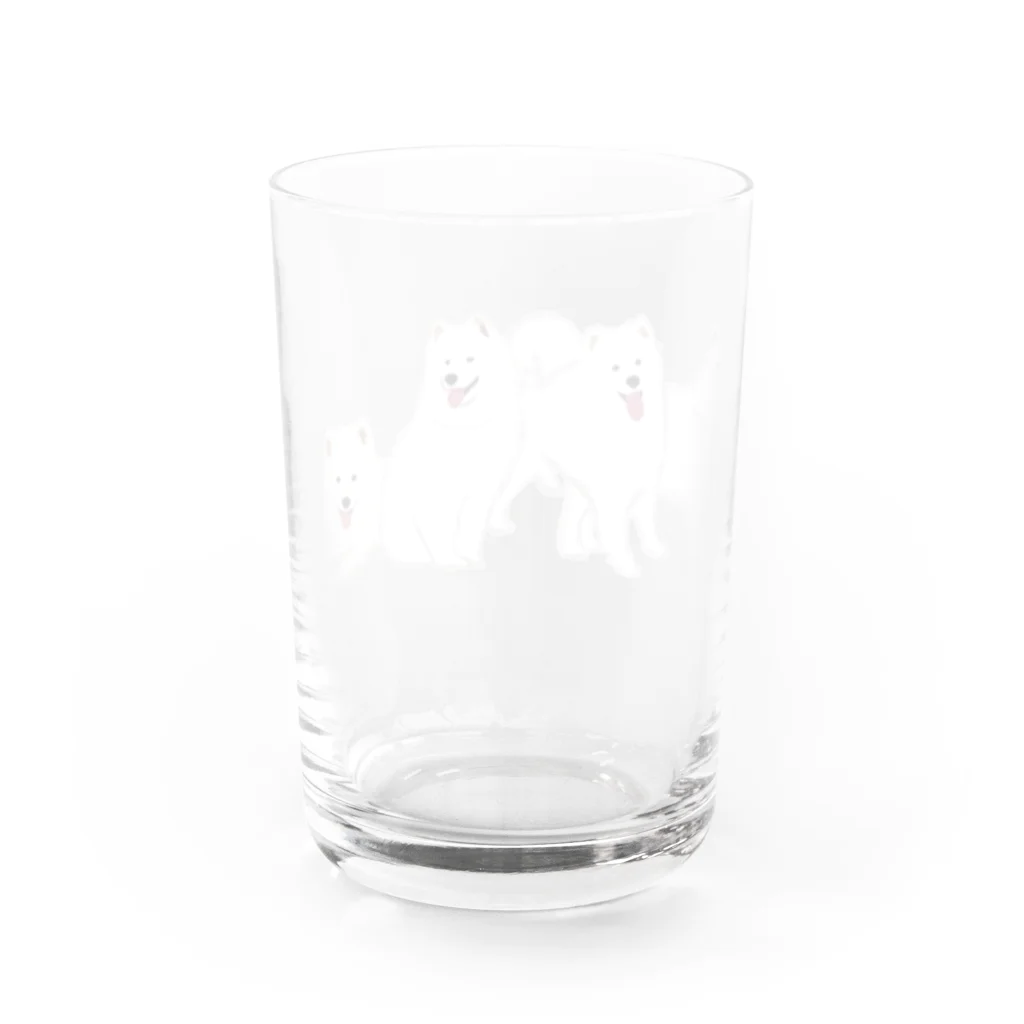 masumi maedaの寄り添う　サモエド　犬 Water Glass :back