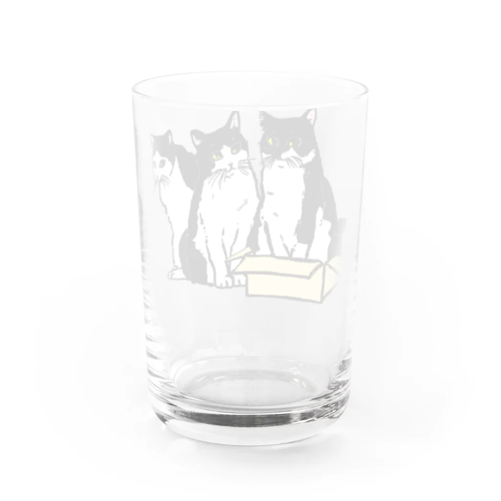 猫竹（nekotake)の箱に入りたい白黒猫たち Water Glass :back