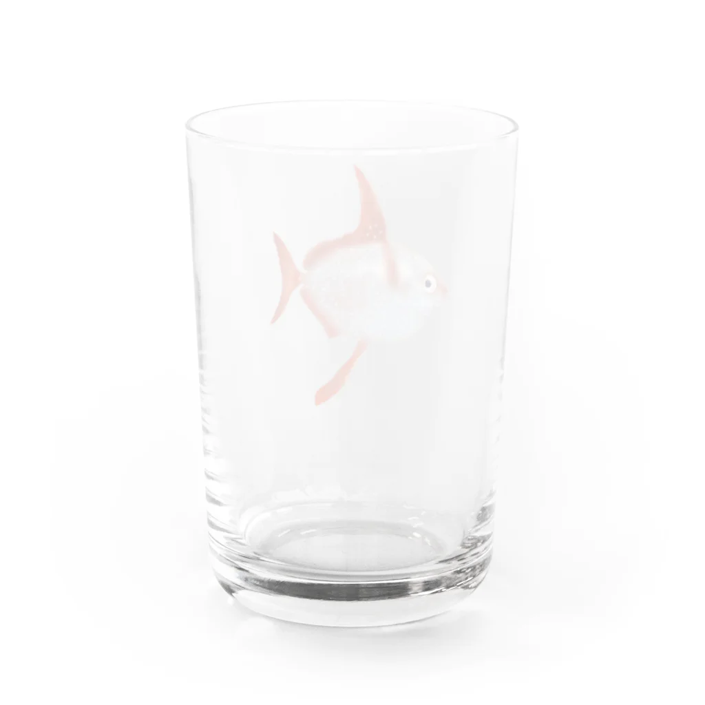 しんごんごのアカマンボウ Water Glass :back