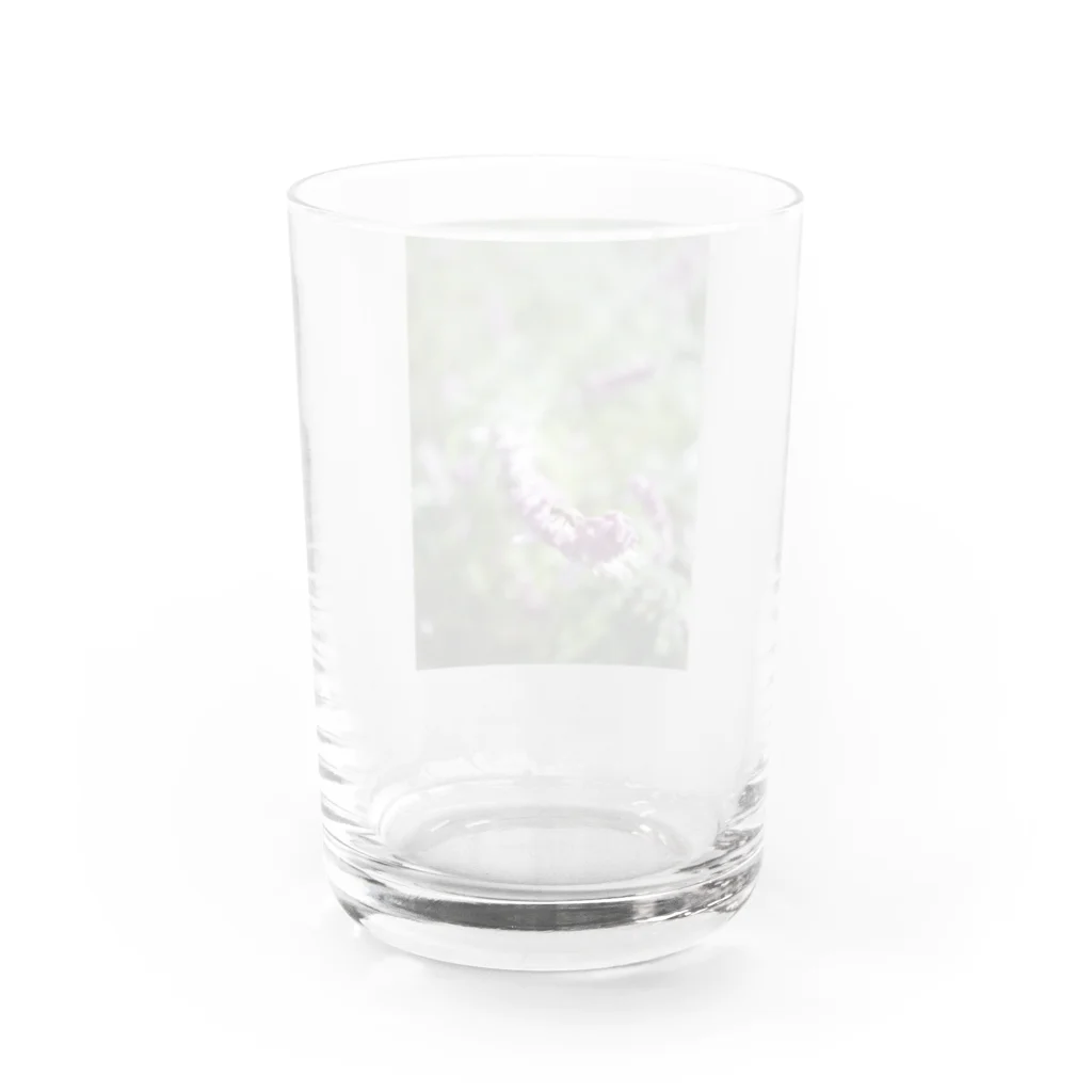 ayak_a_kayaのみつばち🐝 Water Glass :back