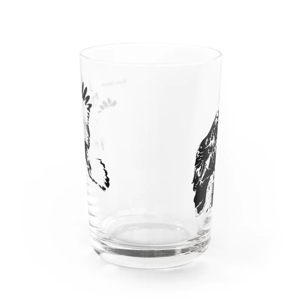 ヤストリのノスリとケアシノスリ Water Glass :back