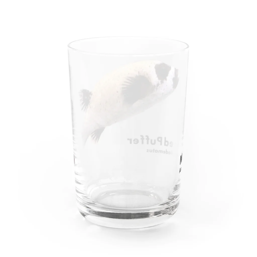 FUGU_GOODSのマスクドパファー Water Glass :back